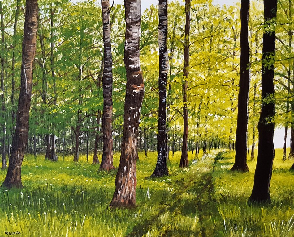 Summer forest / Acrylic / Canvas / 40x50